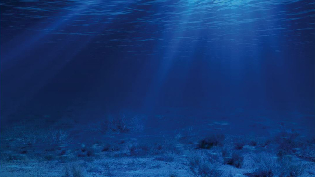 Sea floor Phosphate deposits on the sea floor off the coast of Baja California could be a feedstock for agricultural fertilizer. But digging them up could put a fishing community, endangered sea turtles and other marine species at risk.